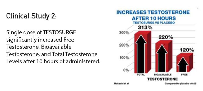 Testosurge clinical study 2: testosterone increases after 10 hours — 313% total, 220% bioavailable, 120% free